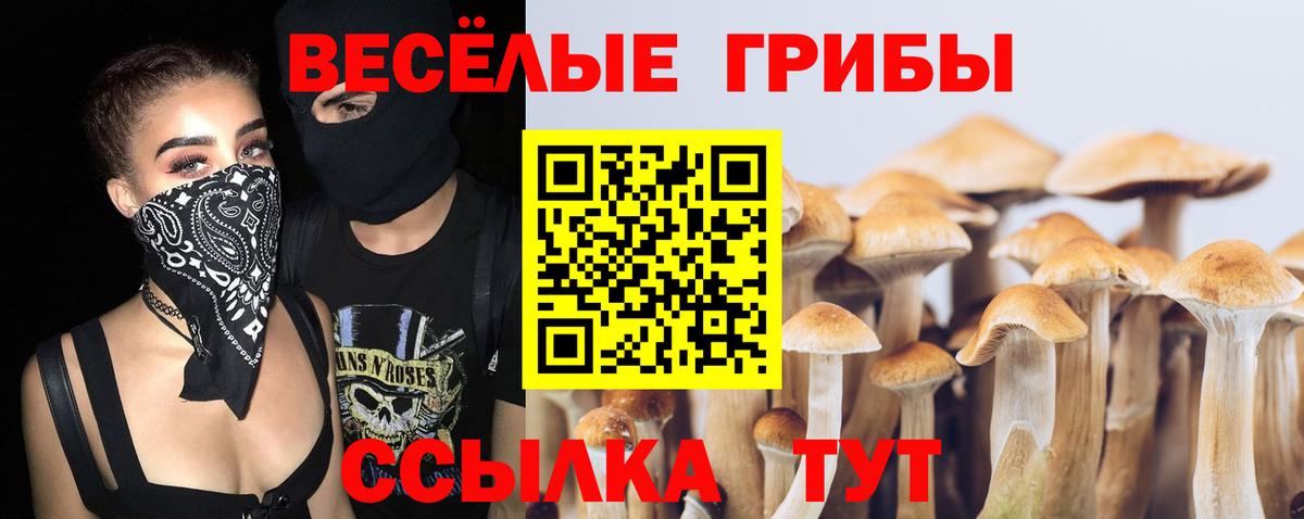 Псилоцибиновые грибы Psilocybine cubensis Ковров