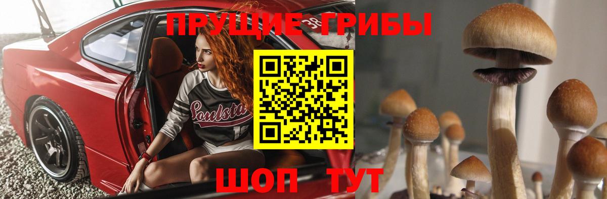 Галлюциногенные грибы мухоморы  Вход с VPN  Галлюциногенные грибы Magic Shrooms  Ковров 